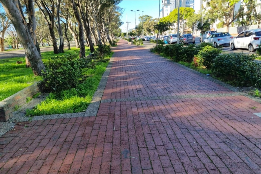 To Let 2 Bedroom Property for Rent in Green Point Western Cape